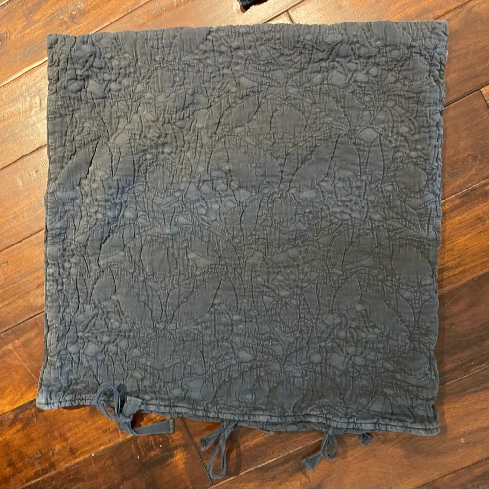 2 Pottery Barn euro shams